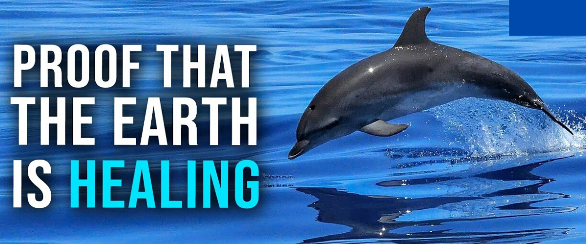 6 Things That Prove That The Earth Is Healing due to Coronavirus Lockdown